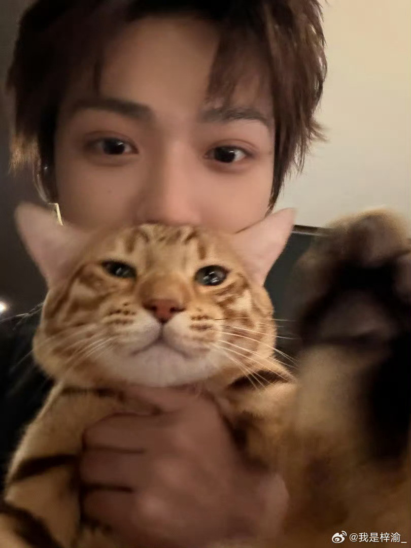 梓渝极速小鱼🔮“我的心也会像海浪一样为你跳动无数次”𝓜𝔂𝓱𝓮𝓪?