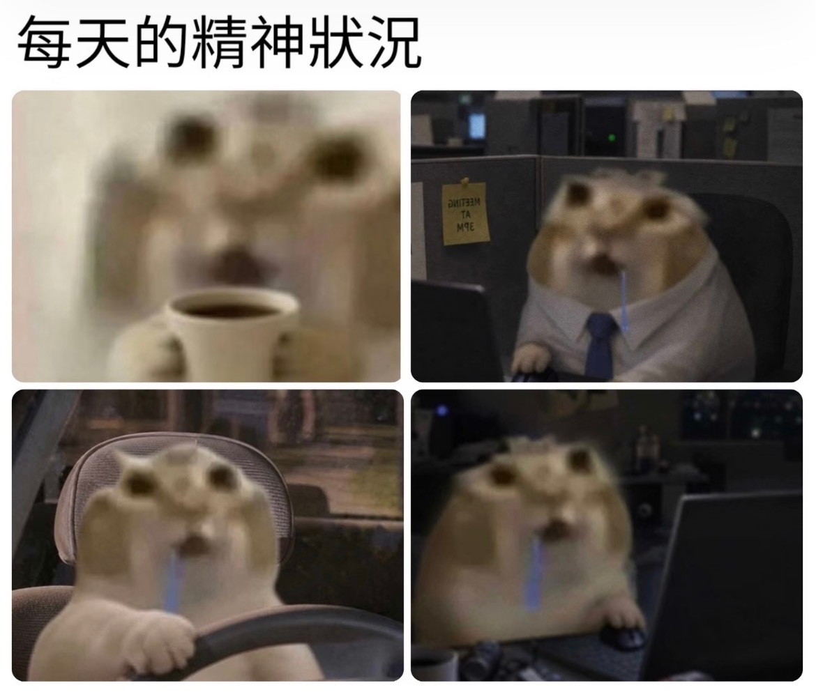莪现在就这样