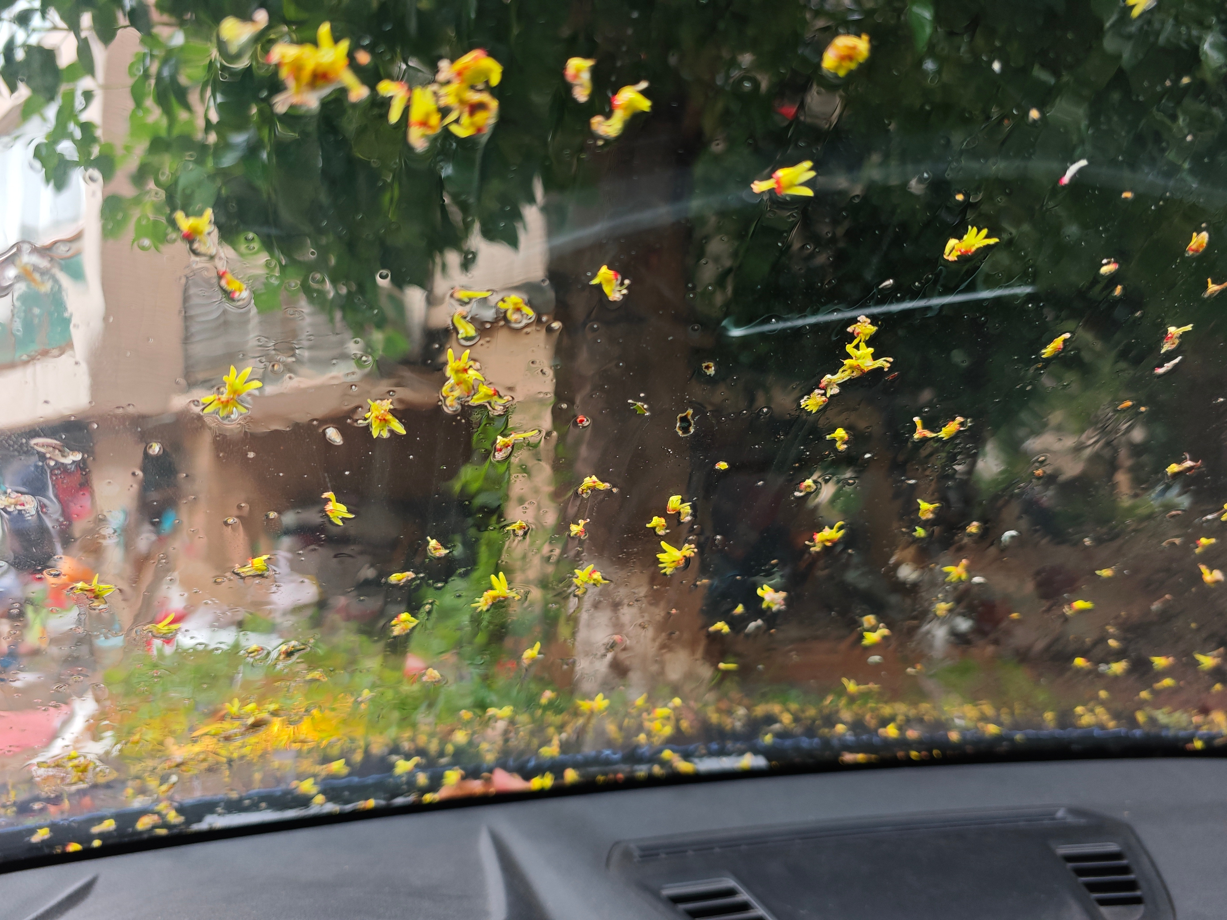 下雨天和游泳更配现在出发[点赞]​​​