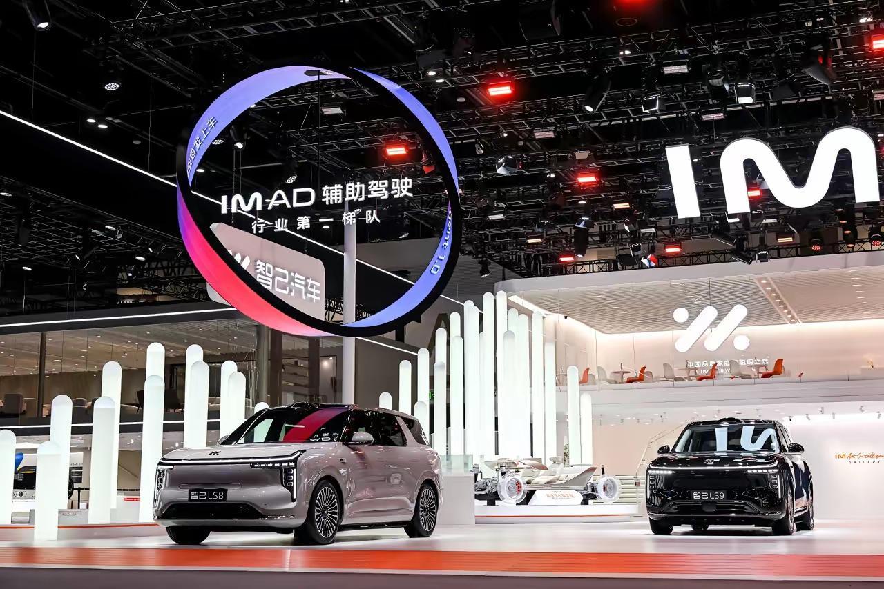 这是赤裸裸的真实数据！看了智己LS61-3月的销量愣住了一月份卖了2