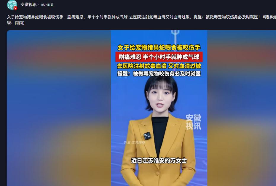 离谱又吓人！安徽视讯5月15日报道，江苏一位女生养了条宠物猪鼻蛇，居然连着三四个