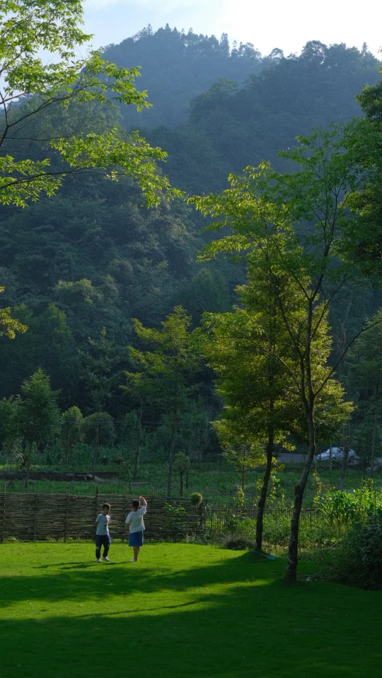 🍃请收下这满屏绿意的夏天