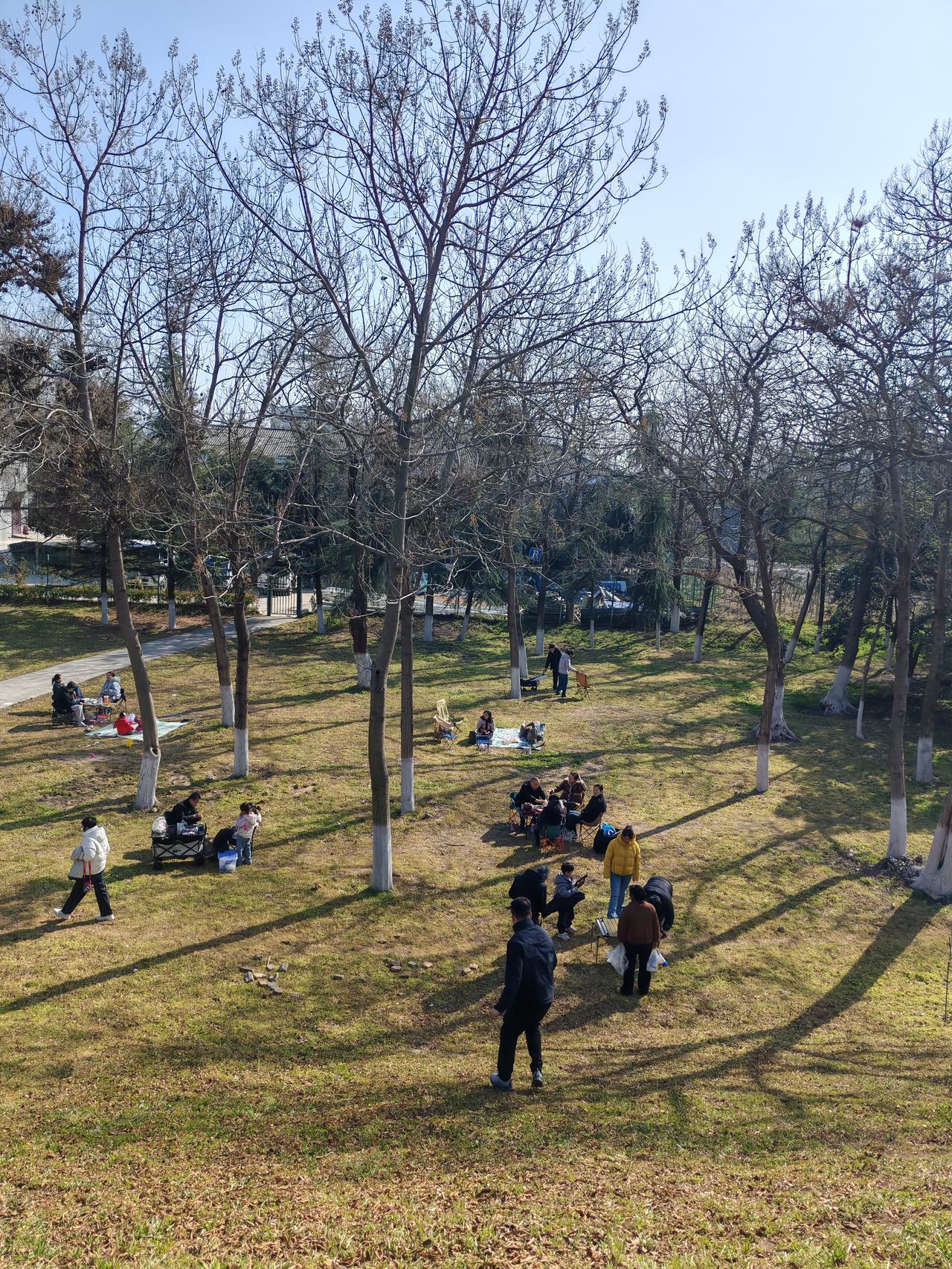 西安北郊人的休闲是河提路1月8日，刚才有抖友推荐未央区正阳大桥下面河提路的梅园