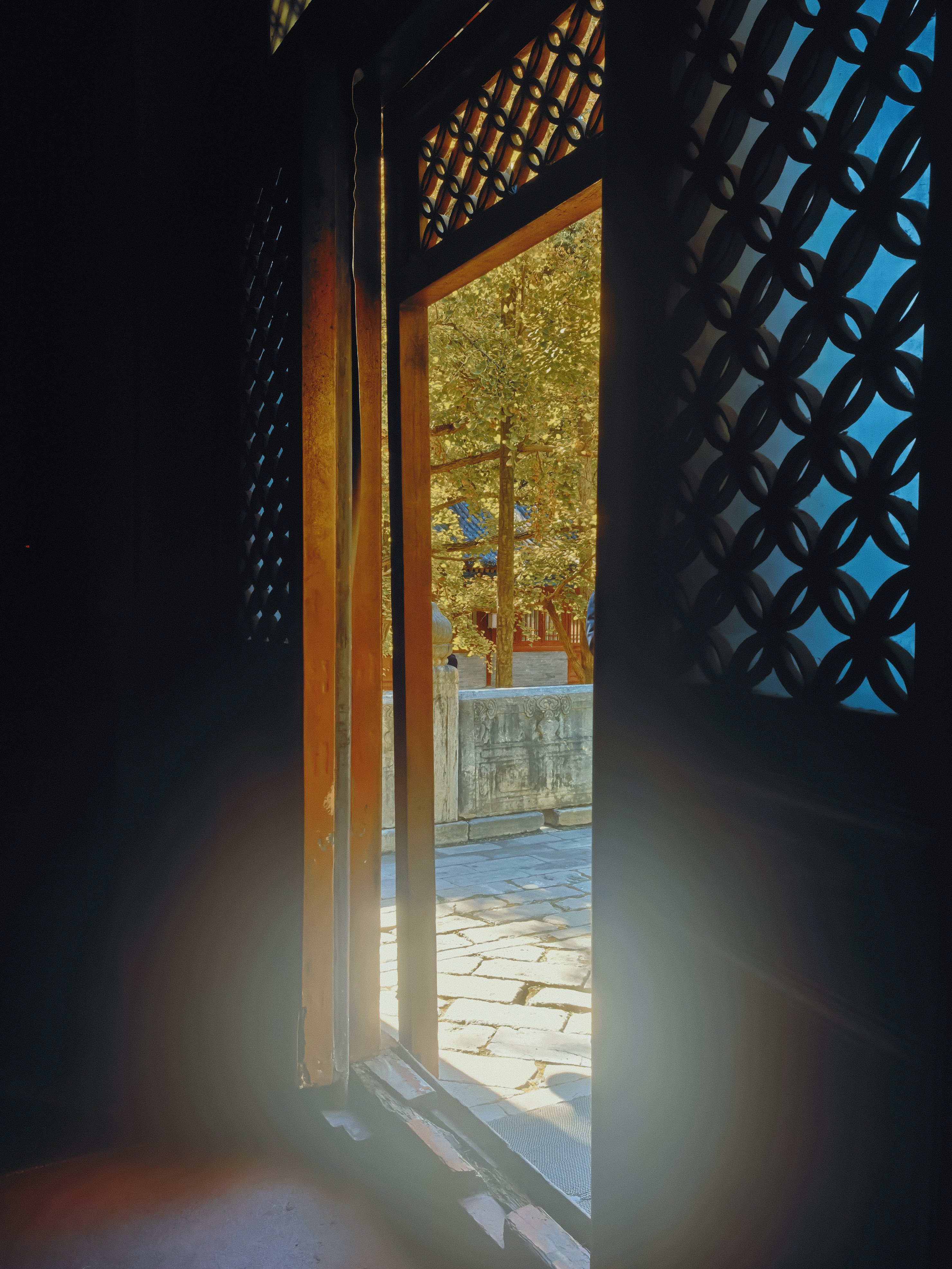 又一个秋🍂🍁【大觉寺】摄影用镜头定格北京最美之秋​​​