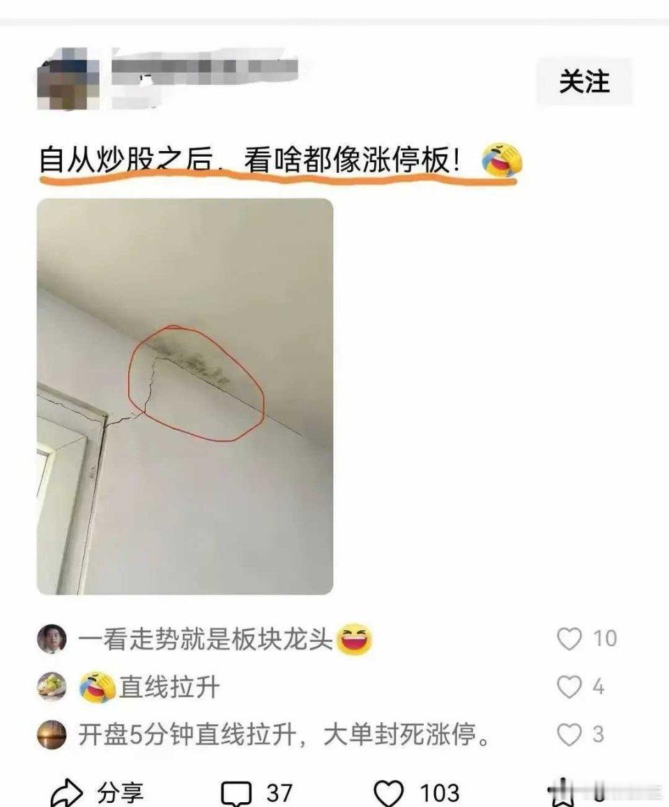 炒股的惯性