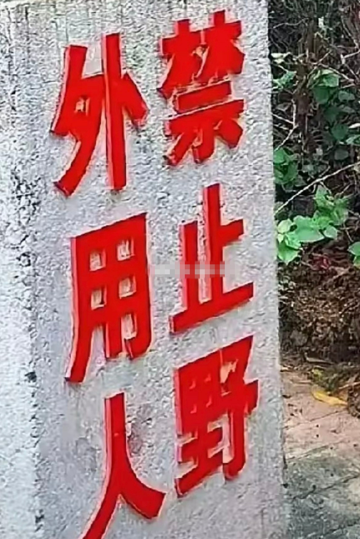 就算语文老师来了，也理不清这几个字吧？