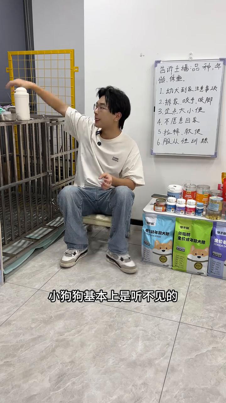 小狗狗爆冲应该怎么去解决？当时去叫停NO都没有用，外面环境比较复杂的时候小狗狗基