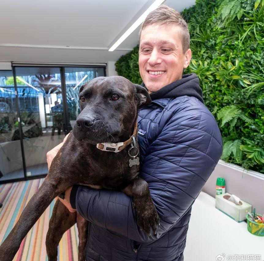 今后，癌症可以这样高效治疗吗？（如图所示）一个澳大利亚人收养了一条狗，这狗患了