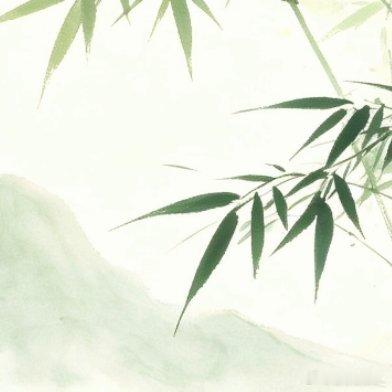 守护国宝大熊猫，做一名熊猫守护者。大熊猫是珍贵的野生动物，我们要爱护它们的生存家园，不打扰野生熊猫的