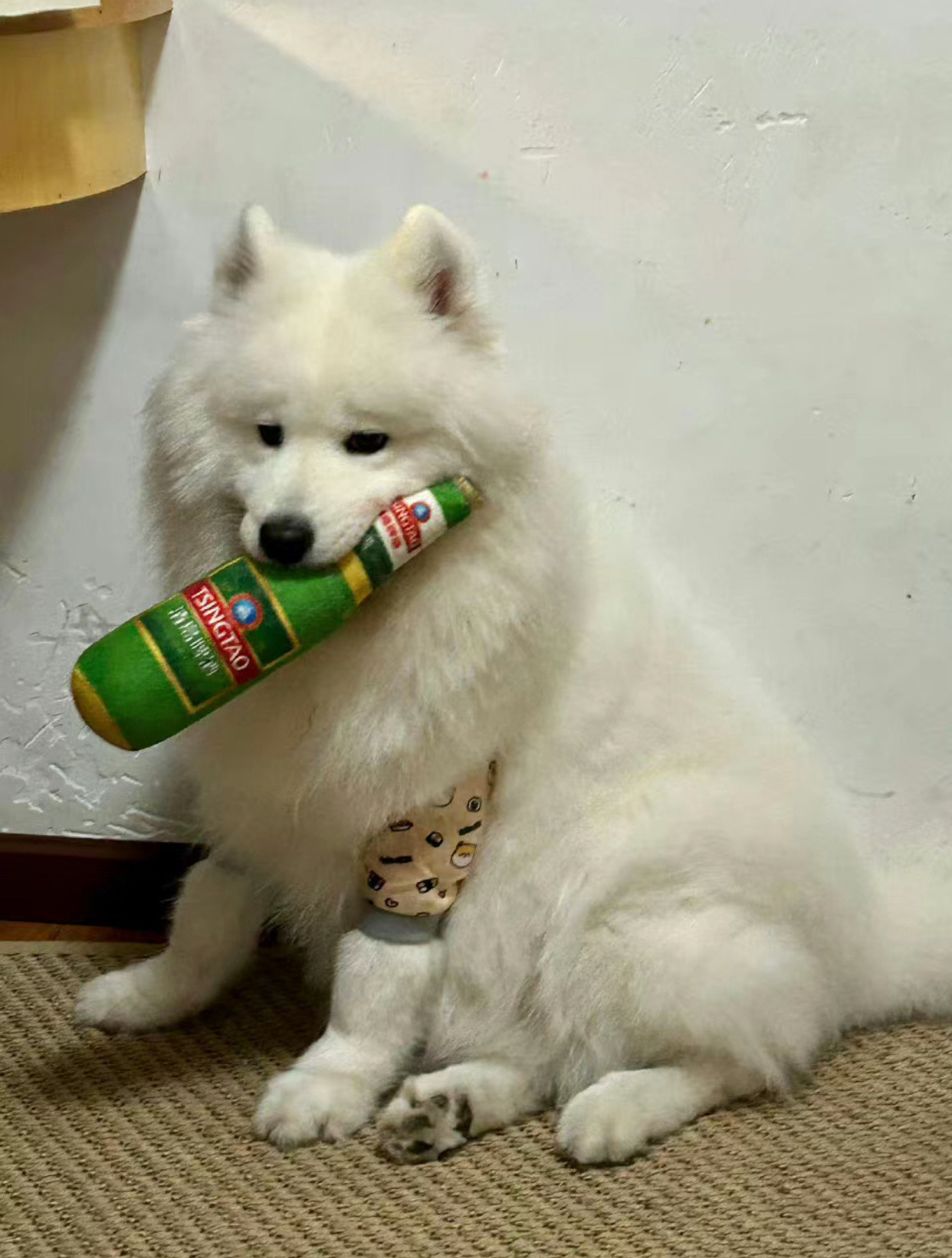 私底下烟酒都来的萨摩爷​​​