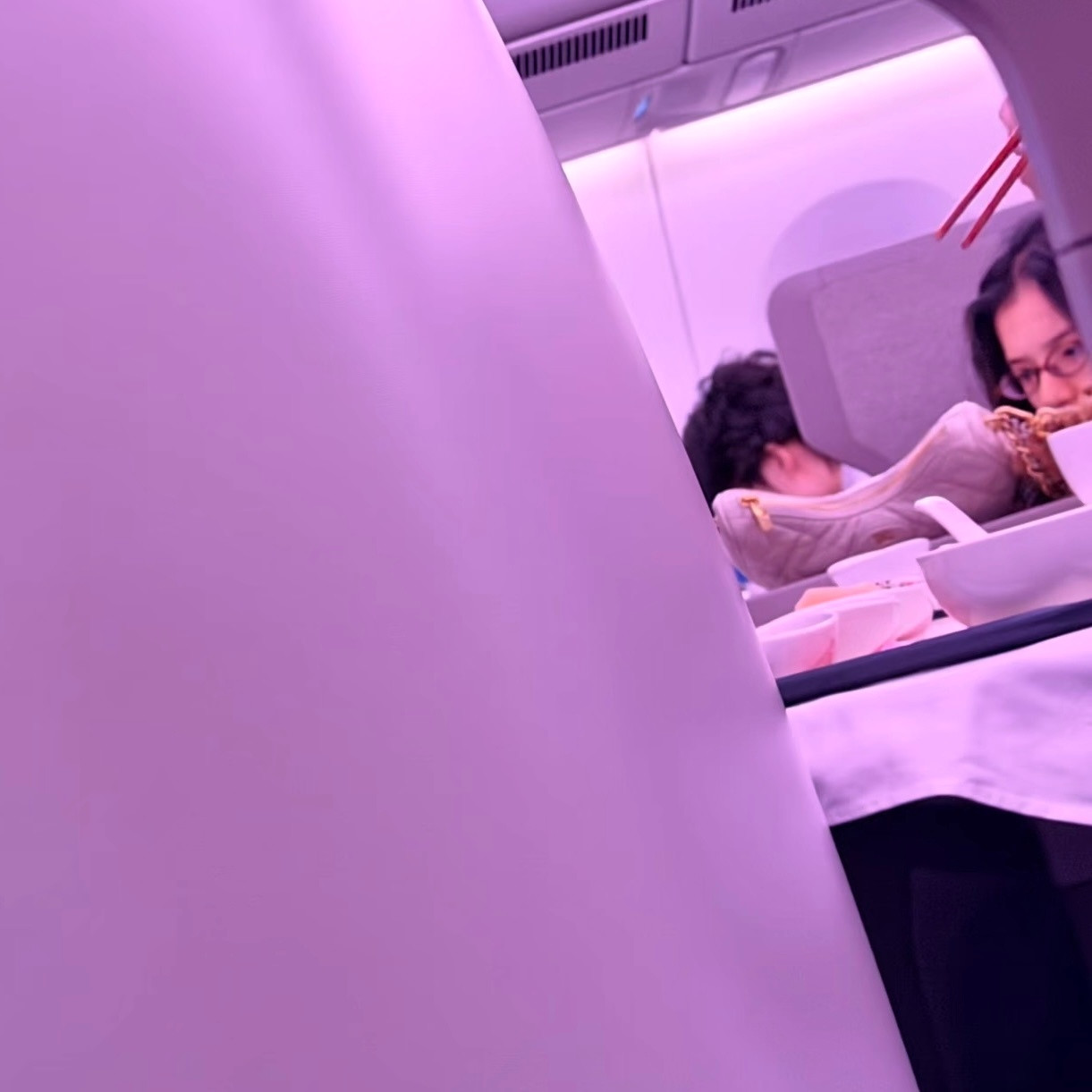 我想象我坐飞机的样子：坐飞机偶遇张婧仪张婧仪我想象我坐飞机的样子​​​