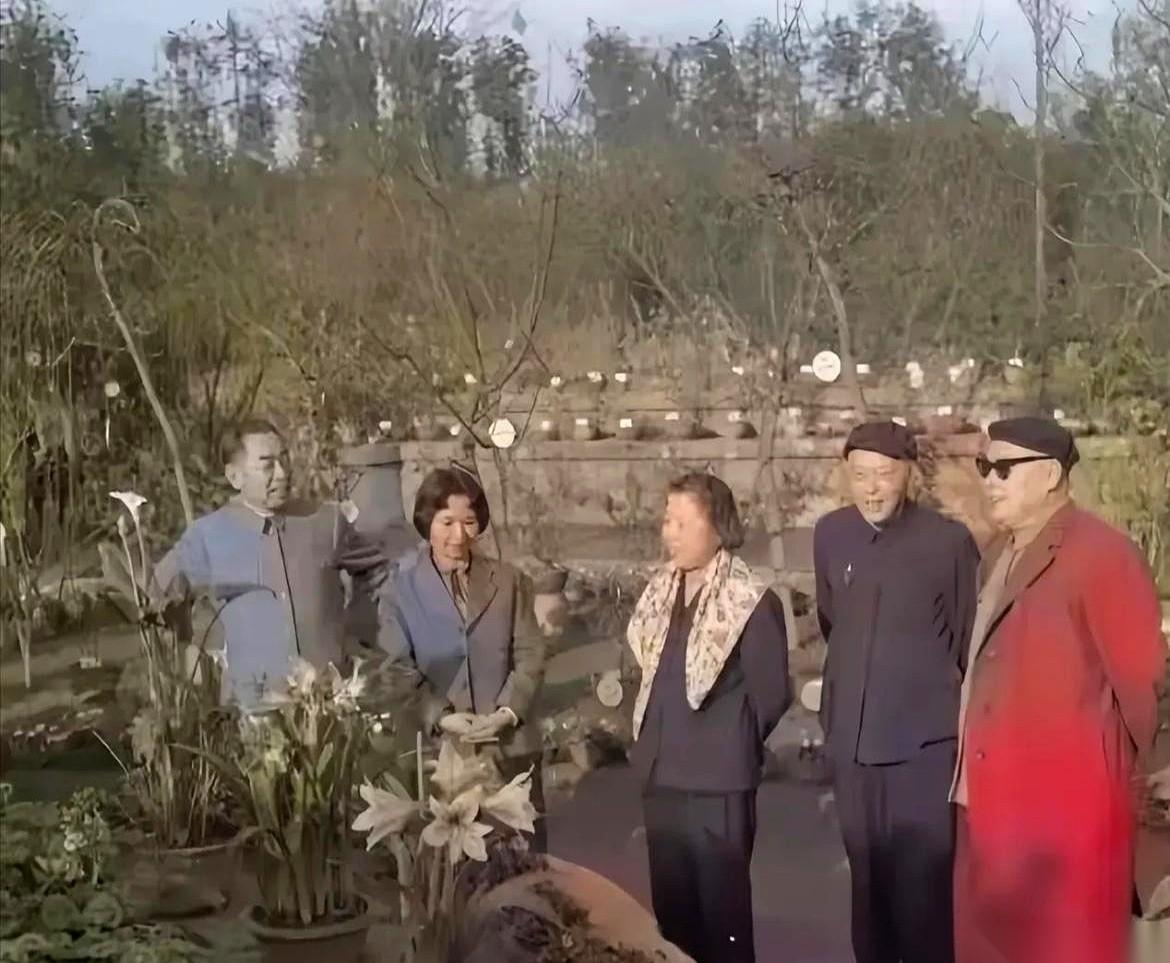 说真的，每次看到这张照片，心都咯噔一下。成都，杜甫草堂，1964年的春天。就