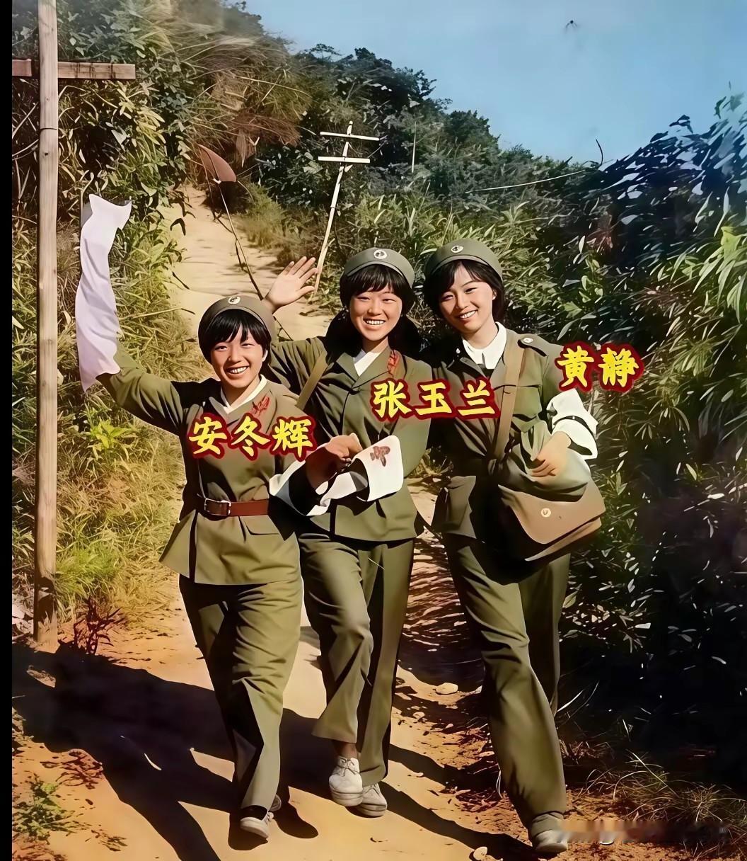 八十年代，南疆的山间土路上，印刻着老山前线三名女医护兵的青春足迹。安冬辉、张玉