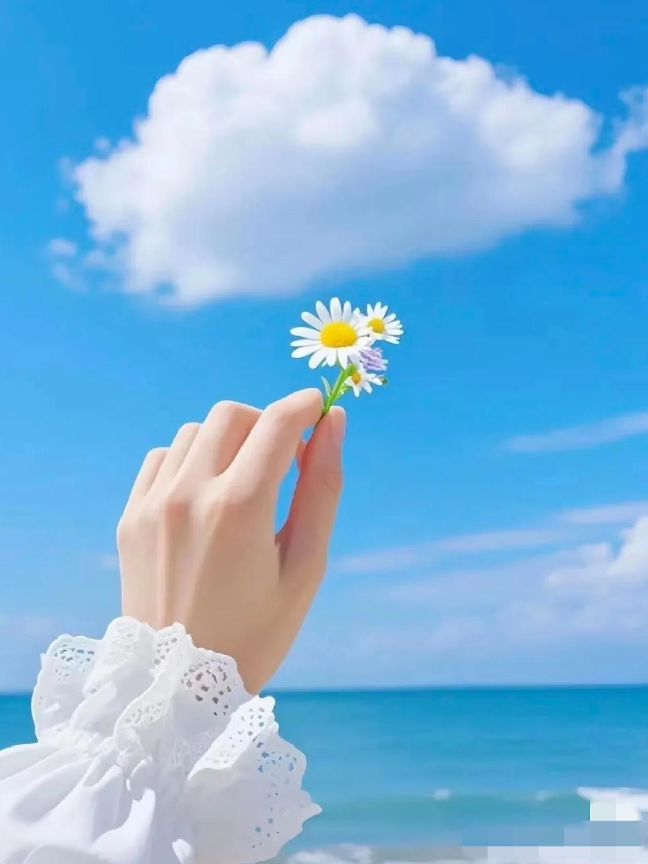 最近每天都在认真打卡冬日小日子：早起晒晒太阳，喝杯热乎的奶茶或茶，整个人都暖透了