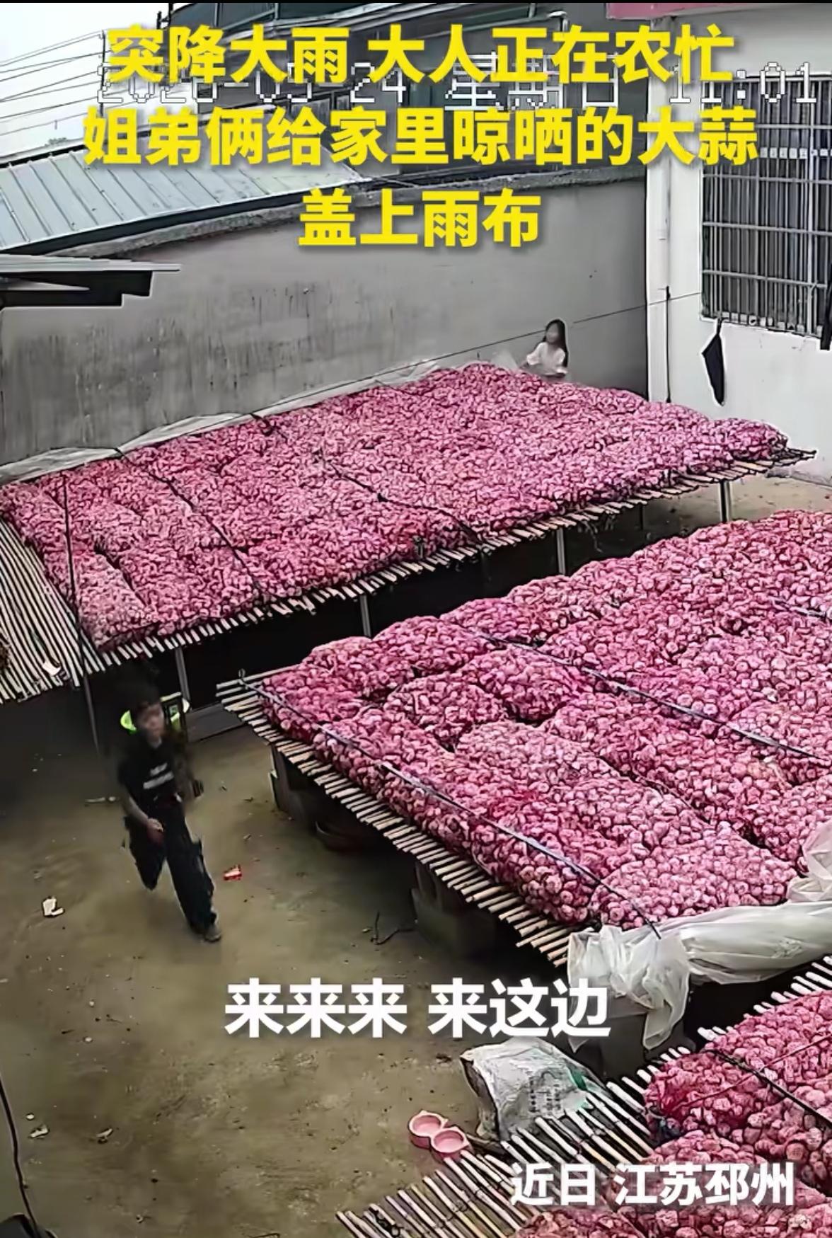 上人民日报了。近日，江苏两个小孩立大功了，他们的举动，直接让全网都竖起了大拇