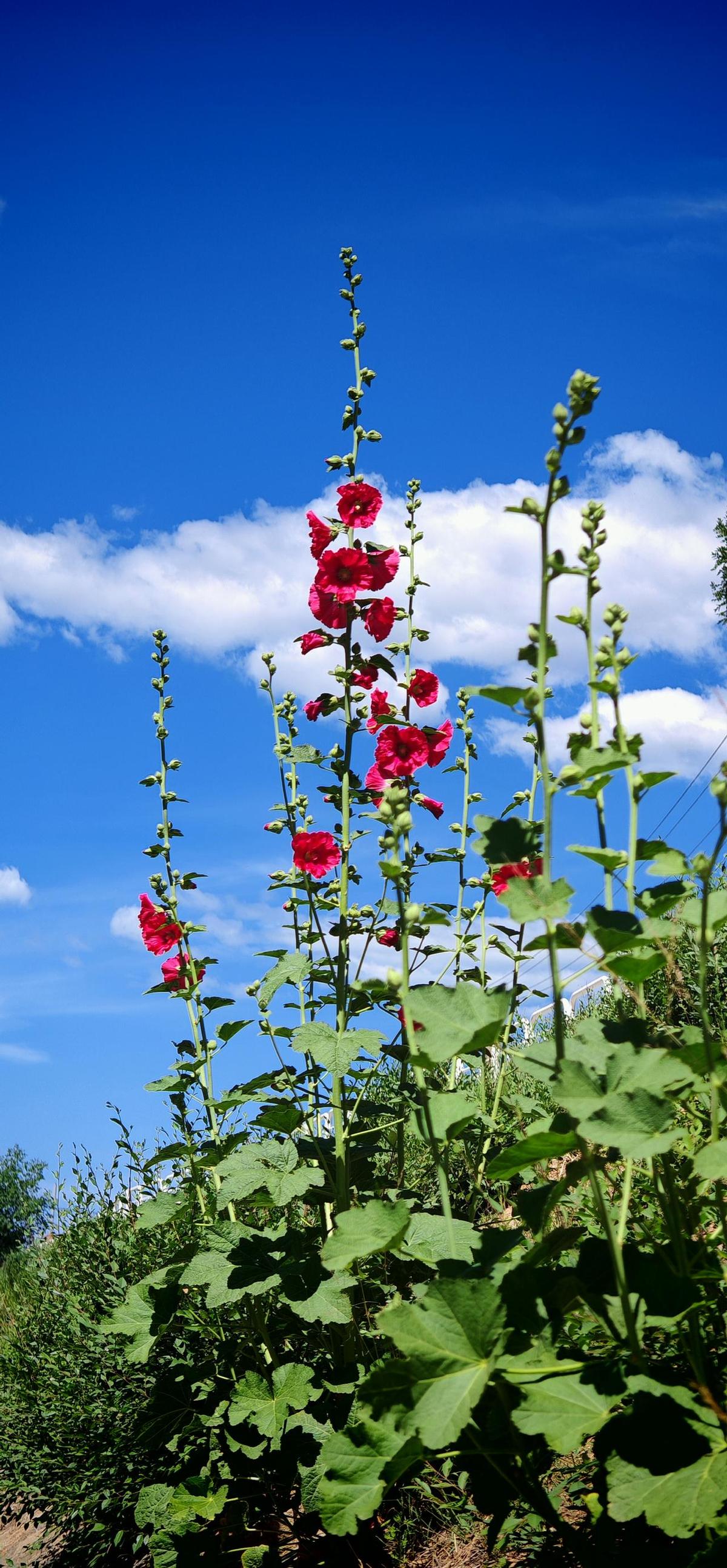 北方退休老人的冬天，真不是什么“神仙日子”，简直就是一场针对身心的“隐形禁足”。