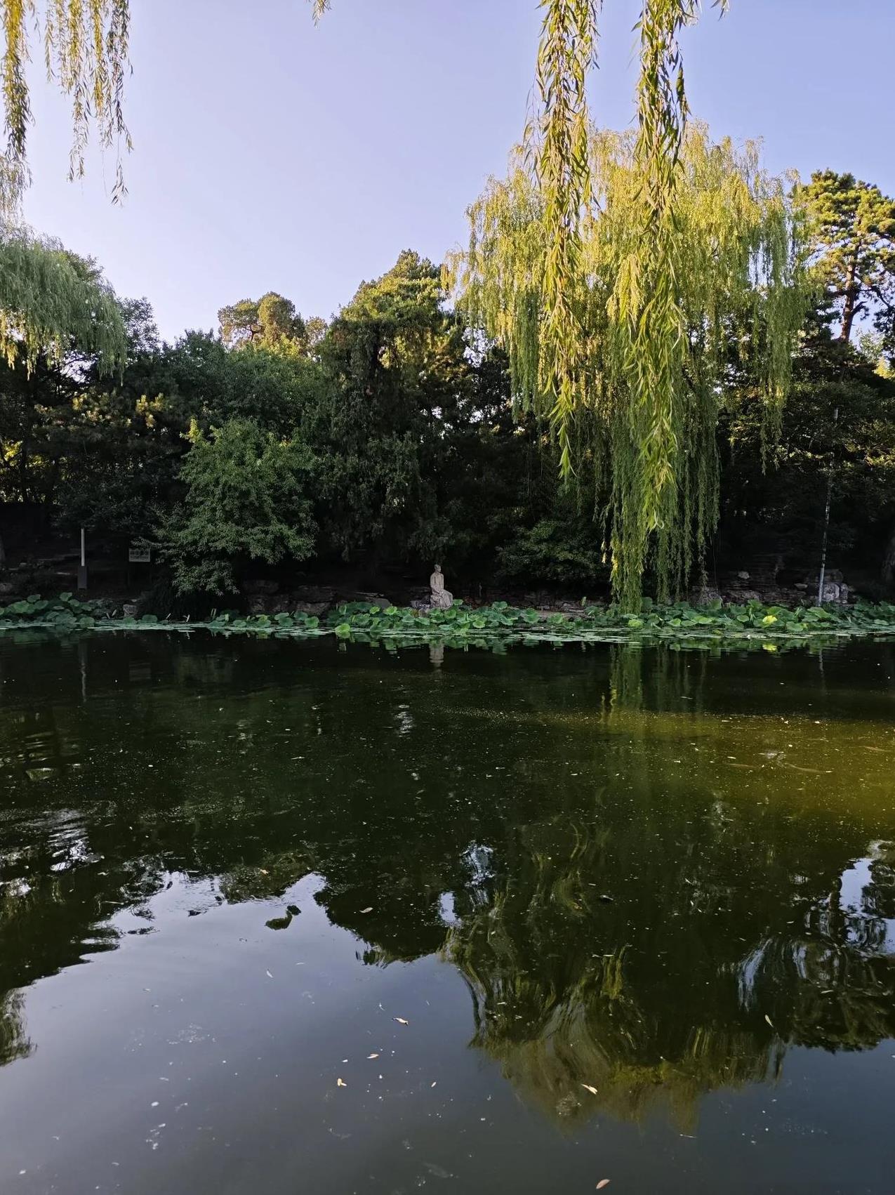 英伟达向中国市场倾销H20芯片吗？美国政府宣布解除禁止英伟达芯片出口禁令，英伟