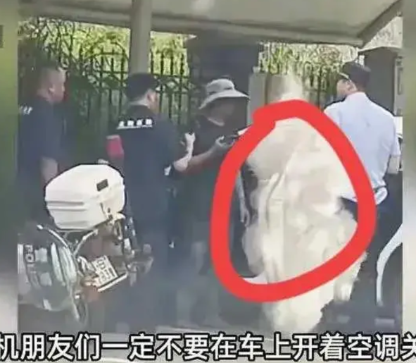 5月15日，广东湛江发生了一起令人痛心的事件。一位网约车司机在给车充电时，因开着