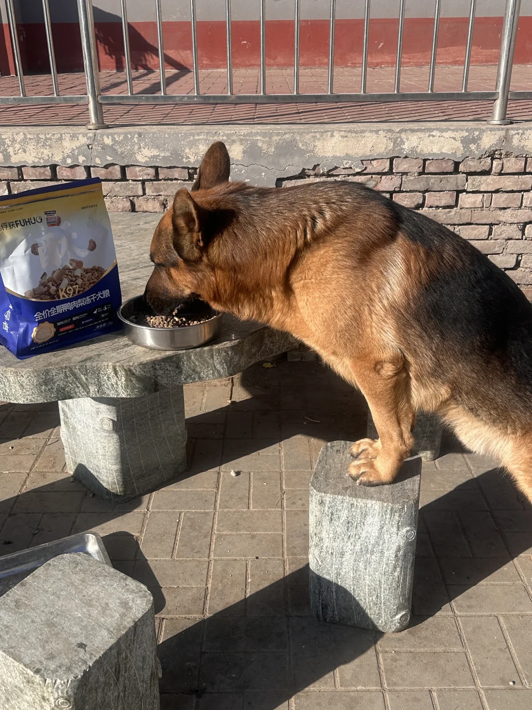 拒绝挑食的泪痕小狗勾！！！