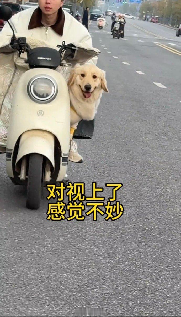 当对上眼的那一刻就知道要跳车了[笑着哭]​​​