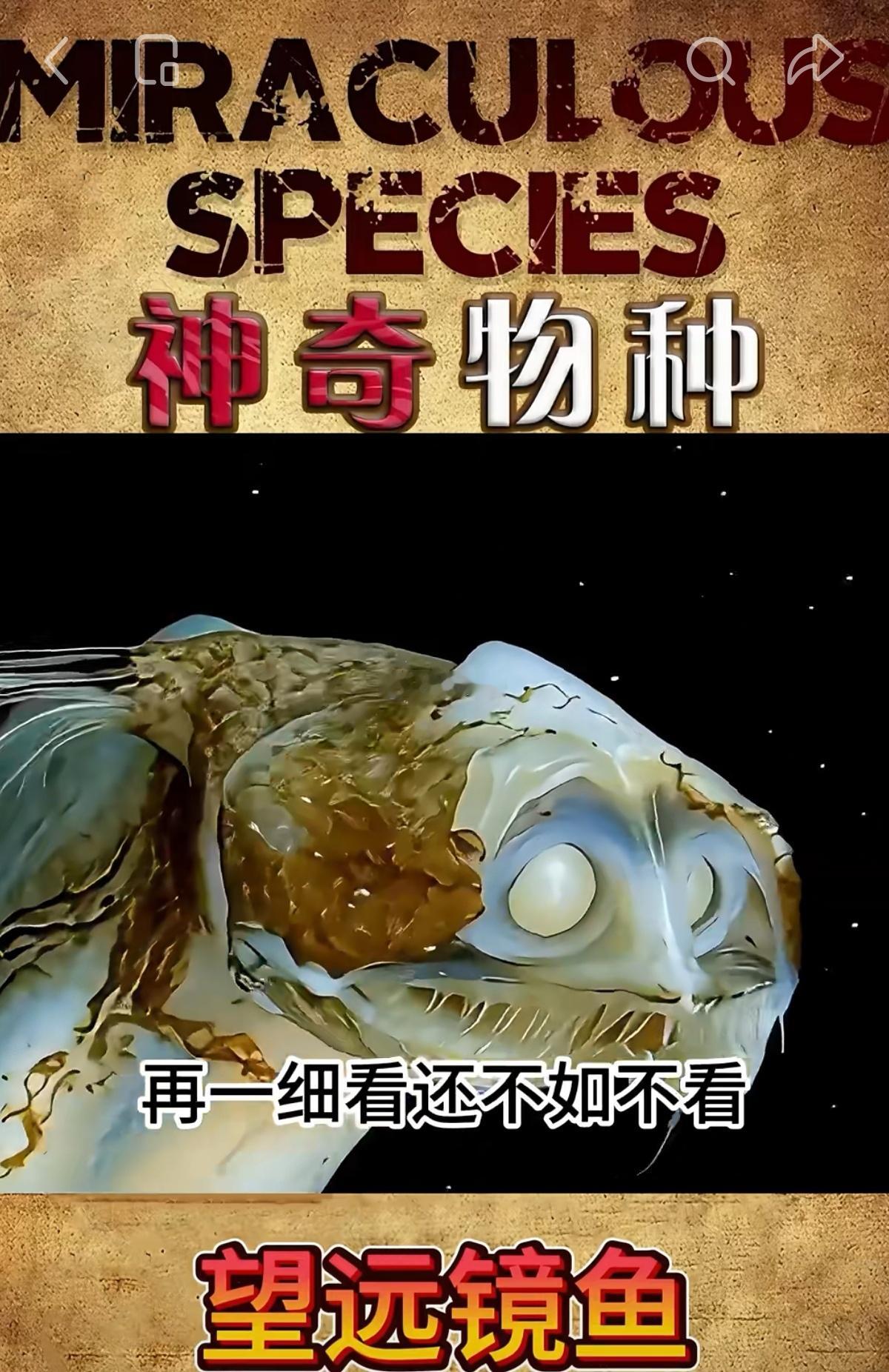 这不是外星生物，也不是AI图，而是真实存在于地球深海之处，叫“望远镜鱼”。图3是