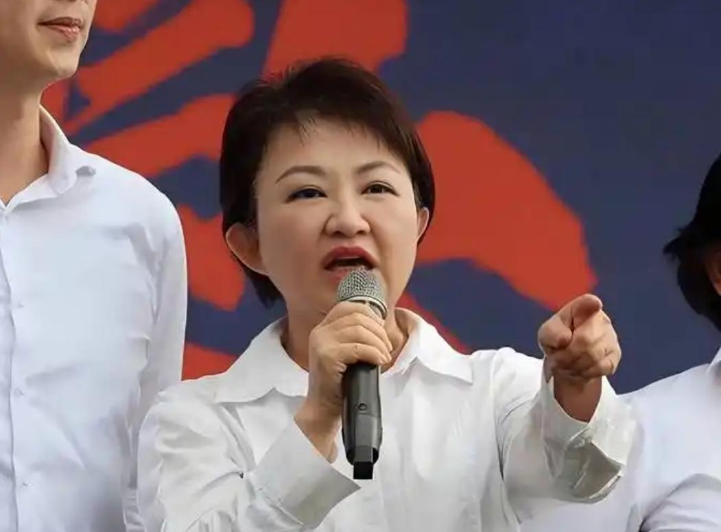 最后通牒下达！别再拿“走流程”当挡箭牌，卢秀燕这回直接把刀架在了国民党的脖子上。