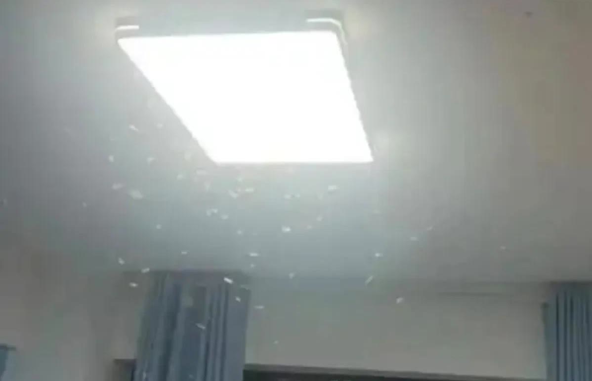 重庆进入一级战备状态！路面、空中都是虫，重庆网友：密集恐惧症都犯了。昨日