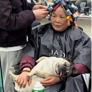 最近安徽有位烫头烫了6小时的大姨火了，不过主角不是她本人，是陪她一起在理发店地烫