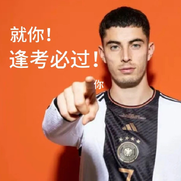 你世界杯只需要先进决赛，懂？