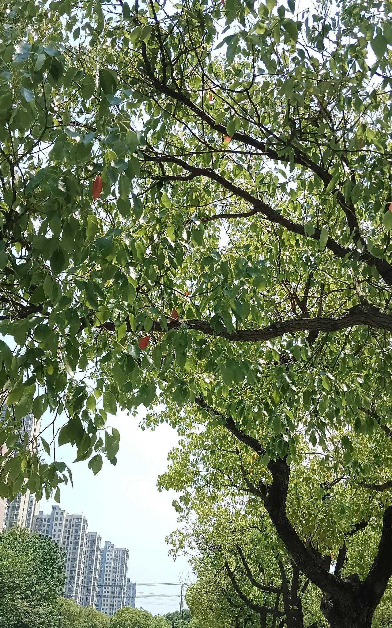 职场上，太过较真会吃亏的！我就是因为较真，昨天和领导闹得很不愉快，刚才领导甩脸给