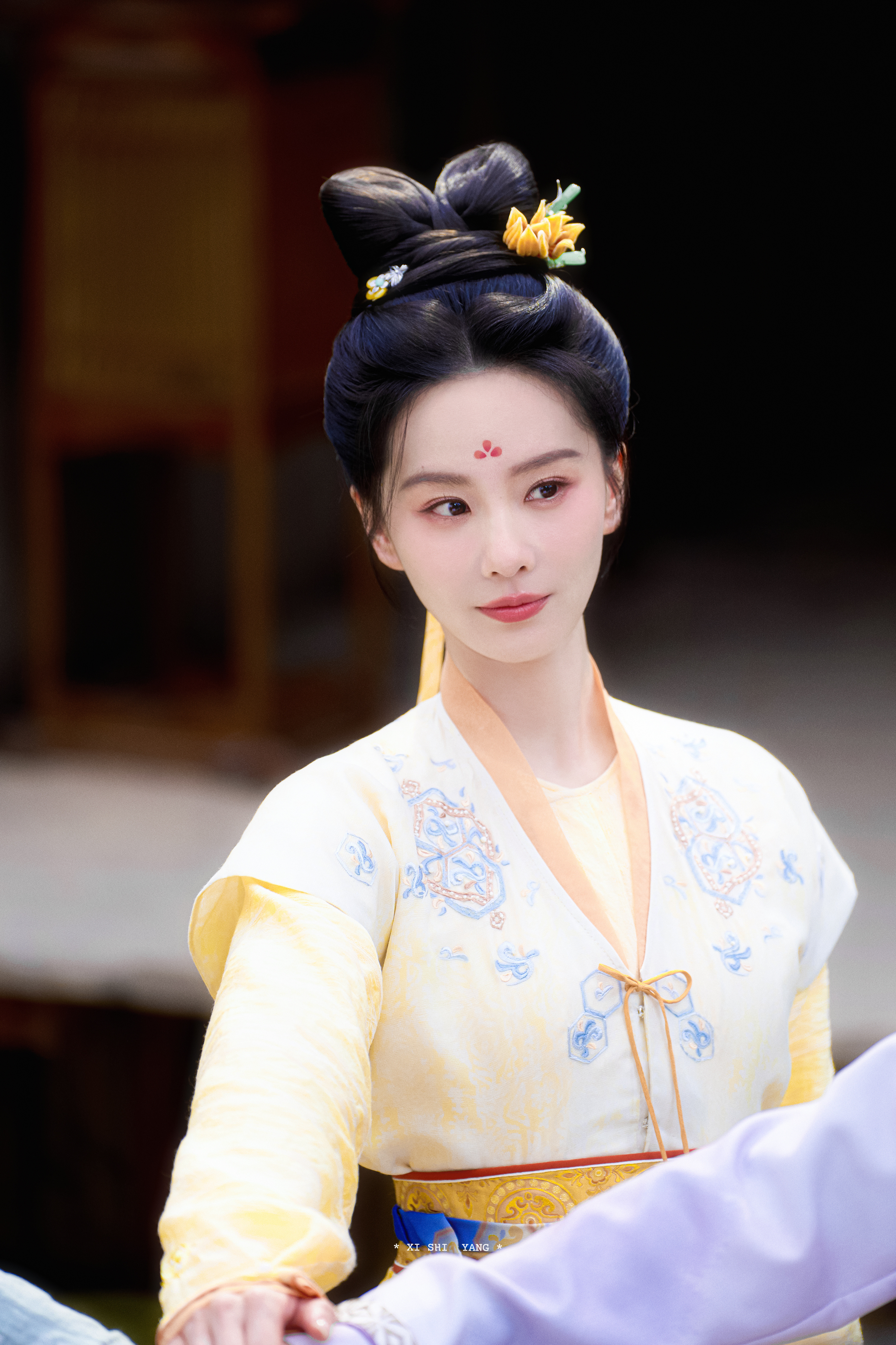 刘诗诗生日的这个图右边都是台词，有任如意、东方淮竹、蒋南孙、叶平安、马尔泰若曦、