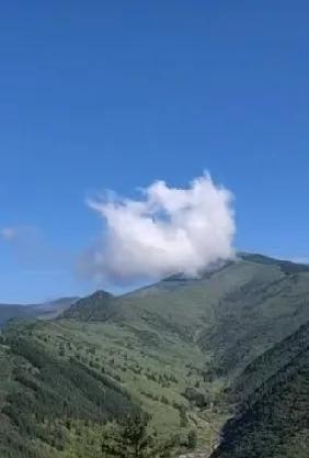 去拿快递，听到快递超市的女儿急匆匆地给妈妈说：“妈，我有点事出去一下啊！”妈妈