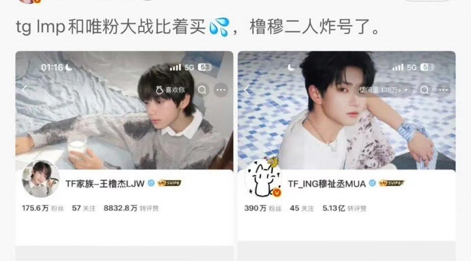 买的挺凶的，买了一百多万和三百多万的粉丝所以买粉需要花的钱应该不多