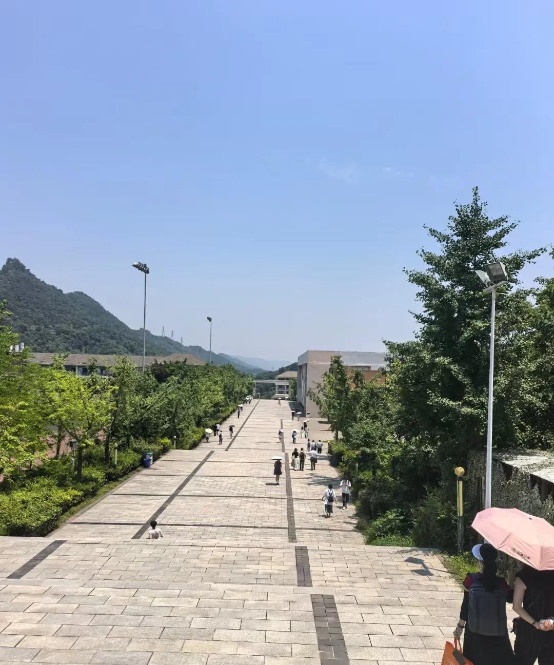 说不后悔是假的大姑子的女儿几年前高考，家里人让她报公费师范生，毕竟女孩子家境一