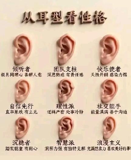 从耳型看性格——文化趣味心态视角下传统面相学关于耳朵与性格的关联，现代科学尚
