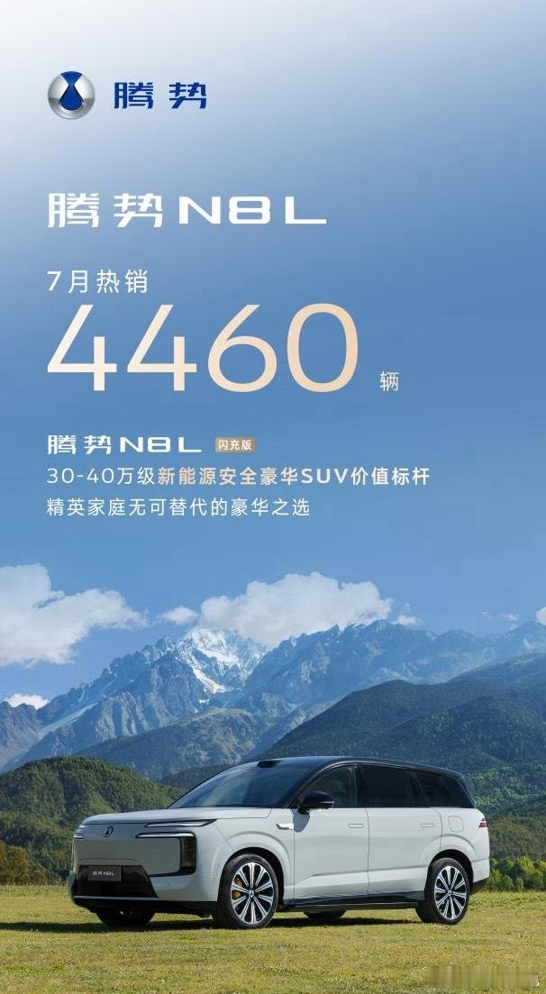 腾势N8L上个月交了4460辆，是一个不错的成绩，但绝不是它的上限这次闪