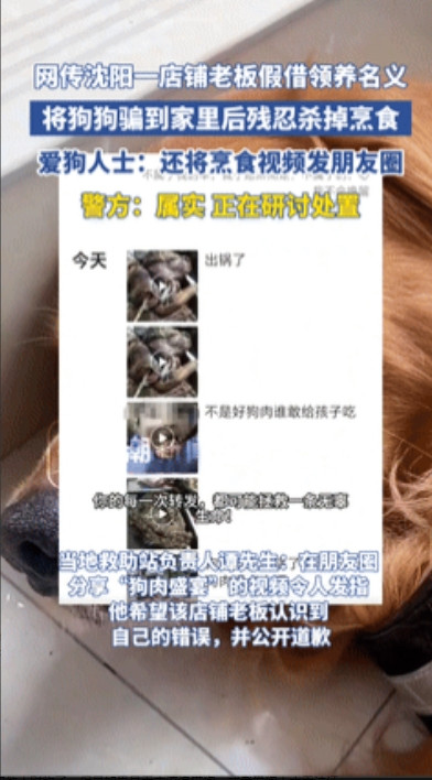 “民警见了也头疼！”沈阳一男子借领养名义将狗骗走吃掉，被爱狗人士举报！警方回应：