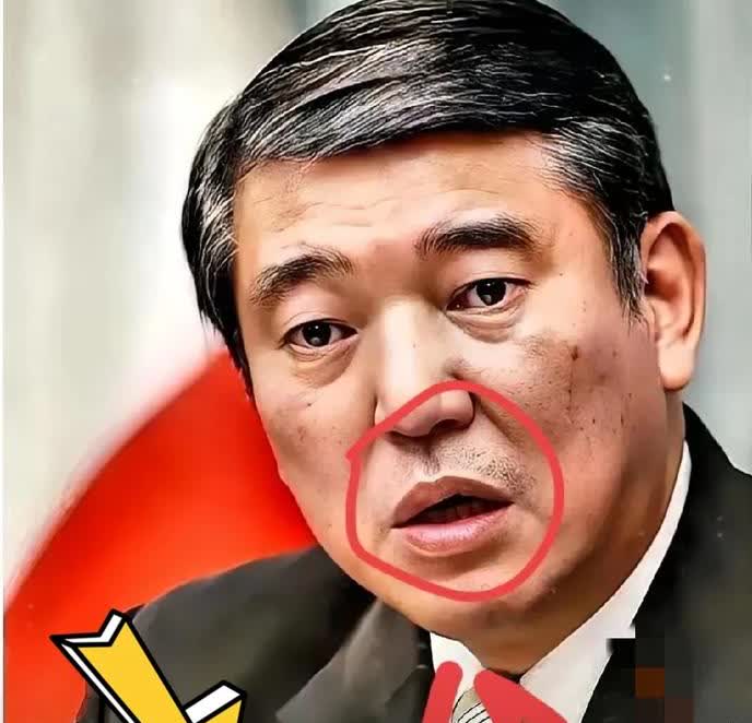 万万没料到！日本人刚刚突然宣告了！5月12日，日本首相石破茂公开