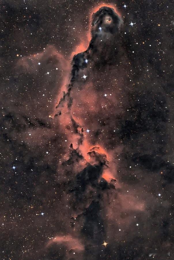 一只"宇宙大象"正在星辰之间漫游。它叫大象的鼻状星云（vdB142），是