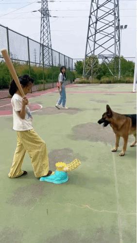这一棍子下去狗牙不得干碎喽？[笑着哭]