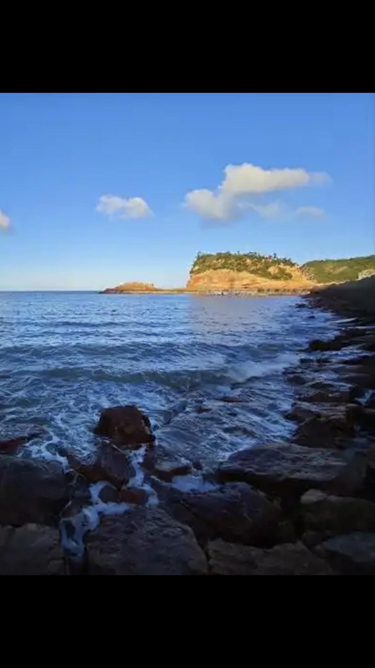 生长特性优势明显•生长速度快：桉树具有极快的生长速度，能在短时间内达到可采