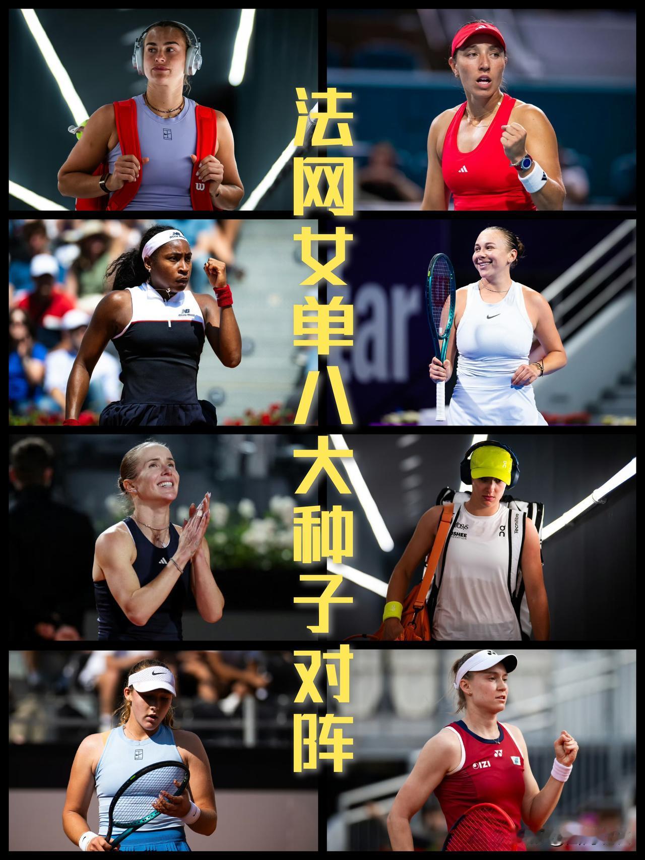 【法网2026女单八大种子签位出炉！佩古拉又抽到了萨巴伦卡！】2026法网女
