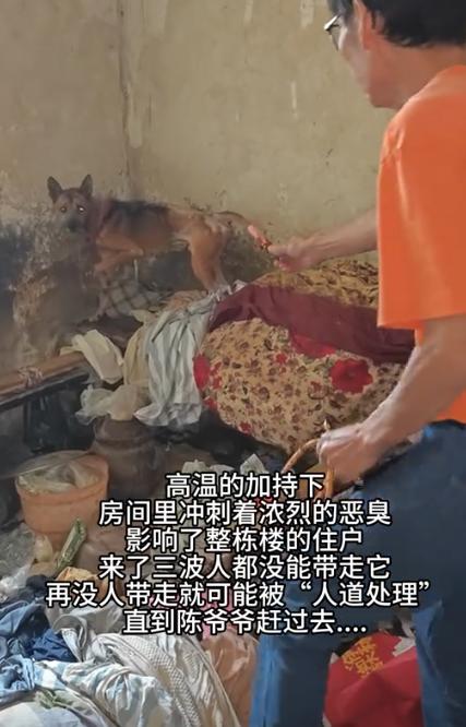 “解释不清了！”重庆，一位老人因病离世，邻居们都以为老人出门了，直到一周后才被发