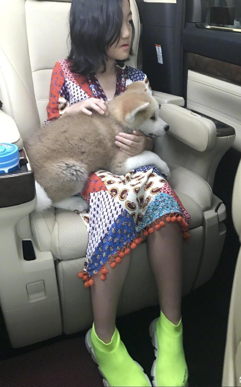 抱着狗狗的李嫣，是个温暖的女孩。她会画画和书法，还会写诗，长的也像爸爸李亚鹏，