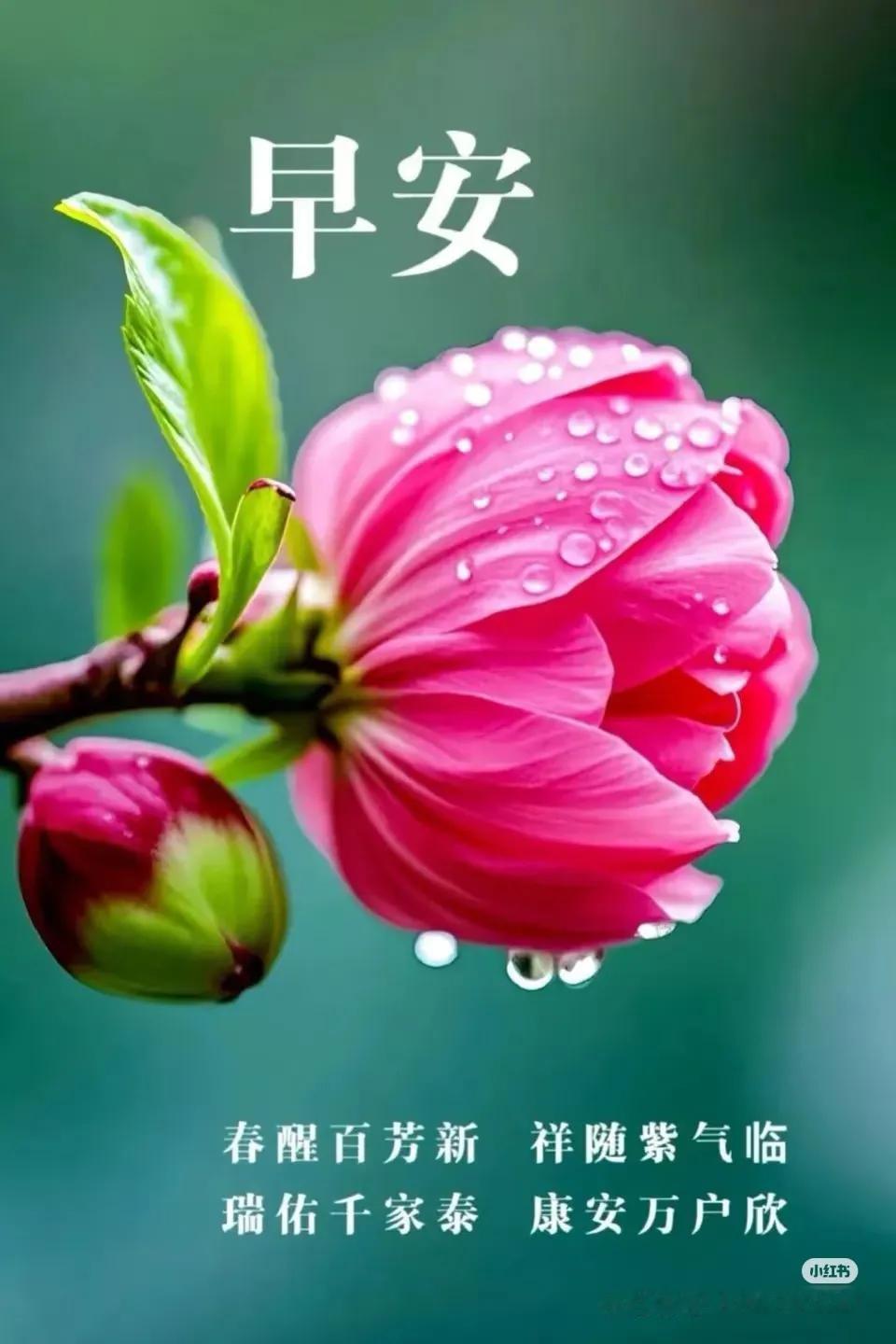 人生是一场漫长的旅程，我们都在寻找那个最理想的自己。我一直坚信，要努力成为自己最