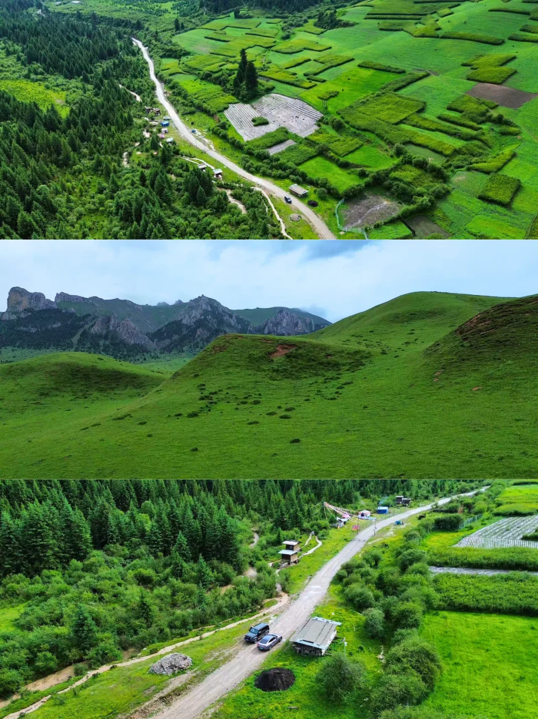 甘南自驾必看！小独库A线封路｜B线最新实拍