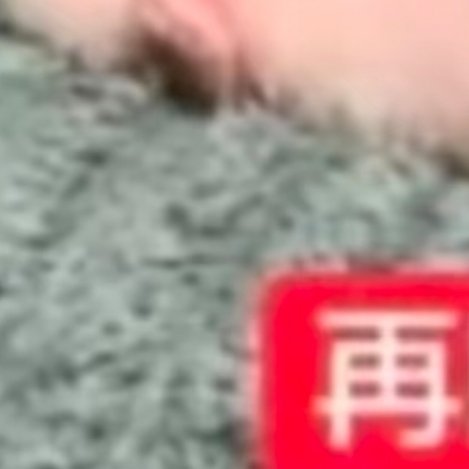 0000种植西梅的步骤如下：1.种植密度：确保植株之间的间距最好是2Mx3