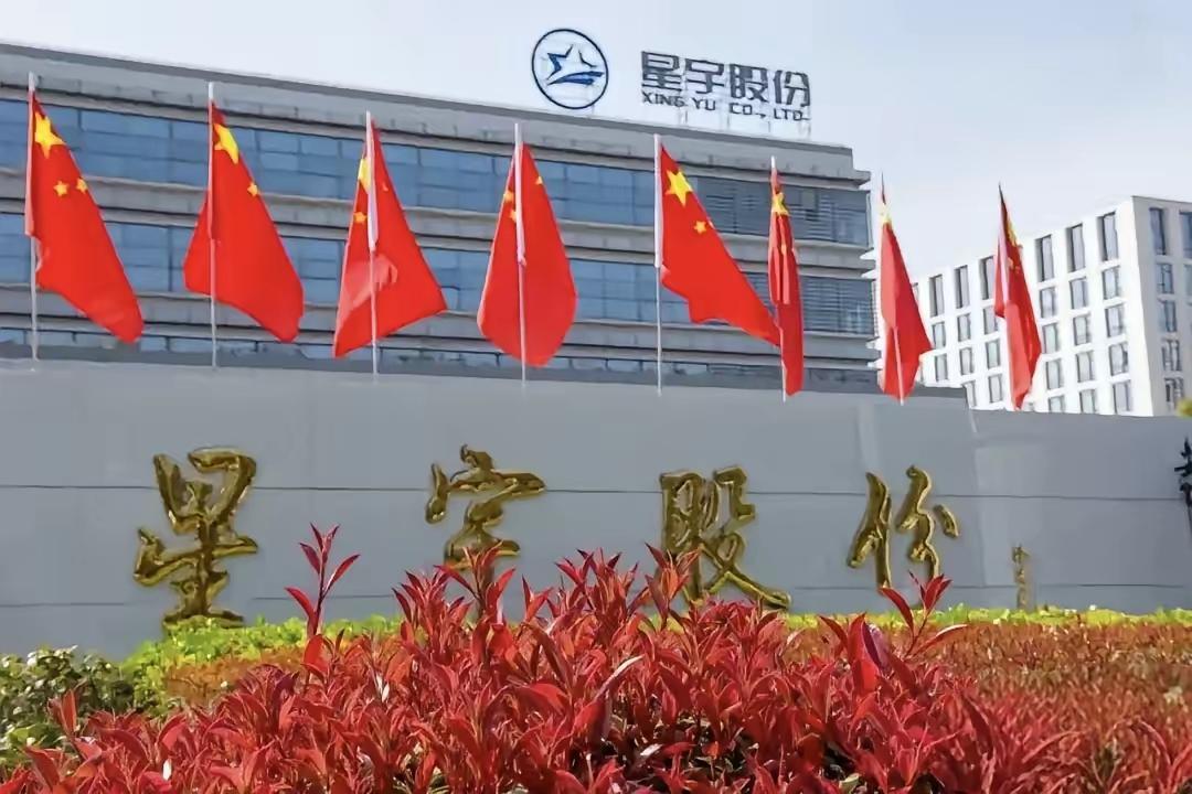 全网死磕星宇股份的真相！不是纠结赔偿，是看透资本虚伪嘴脸终于明白全网为什么