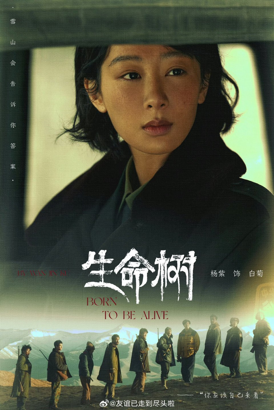 杨紫确定出席微博之夜，配合生命树剧宣好想看杨紫红毯造型啊！