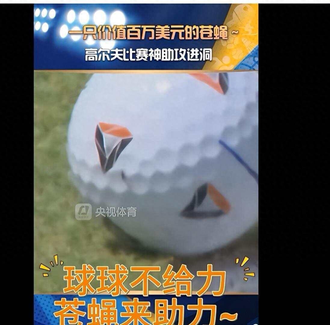91万美金的苍蝇助攻！高尔夫赛场的奇迹引发规则与运气大讨论